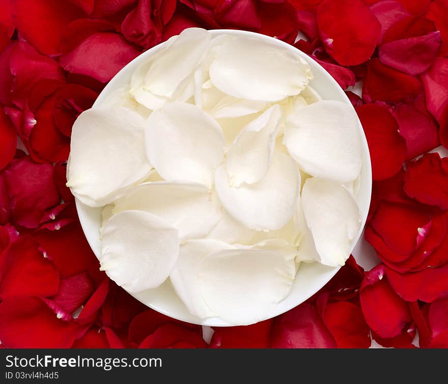 White rose petals in a bowl on the background of red petals. White rose petals in a bowl on the background of red petals