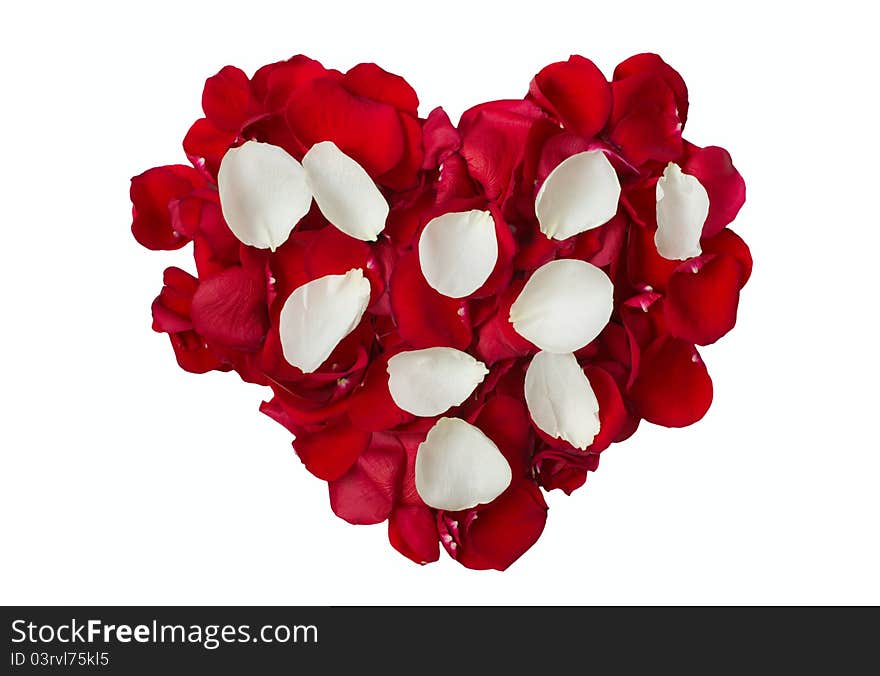 Red and white rose petals in heart shape. Red and white rose petals in heart shape