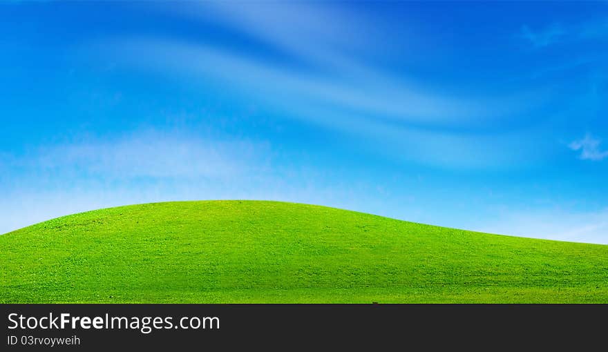 Green field and blue sky