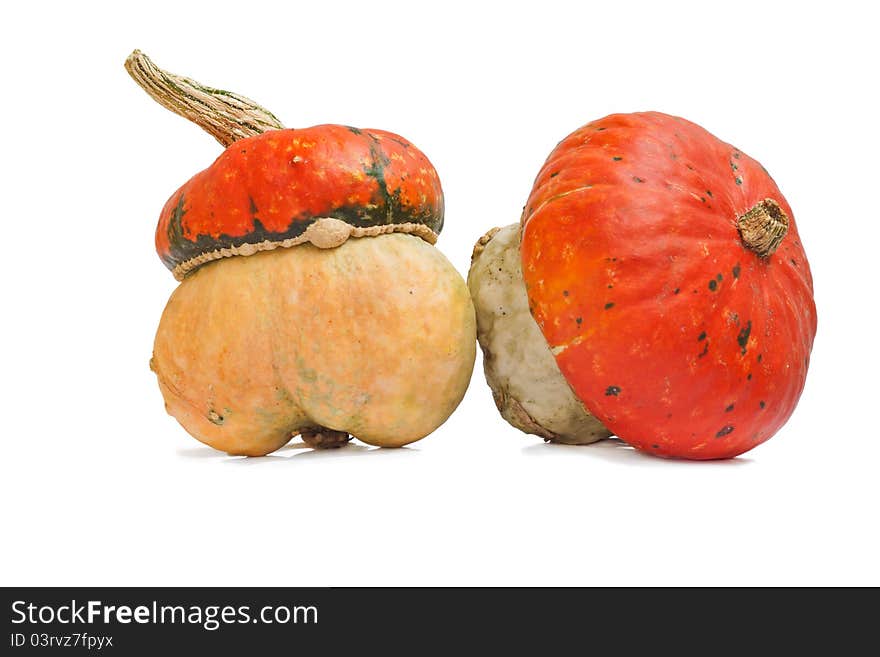 A two small pumpkins with hat on a white background