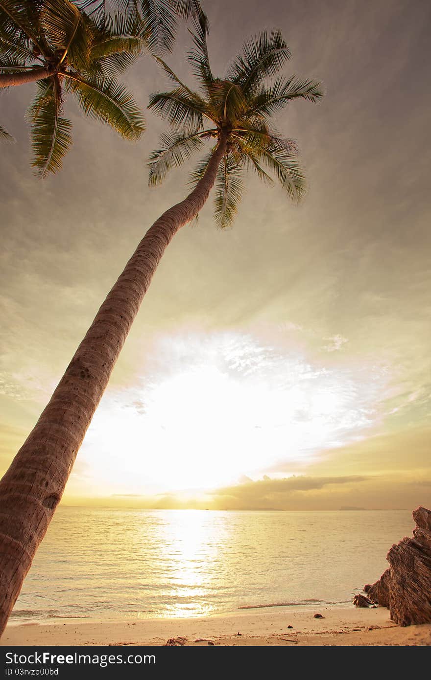 View of nice tropical beach during colorful sunsetl