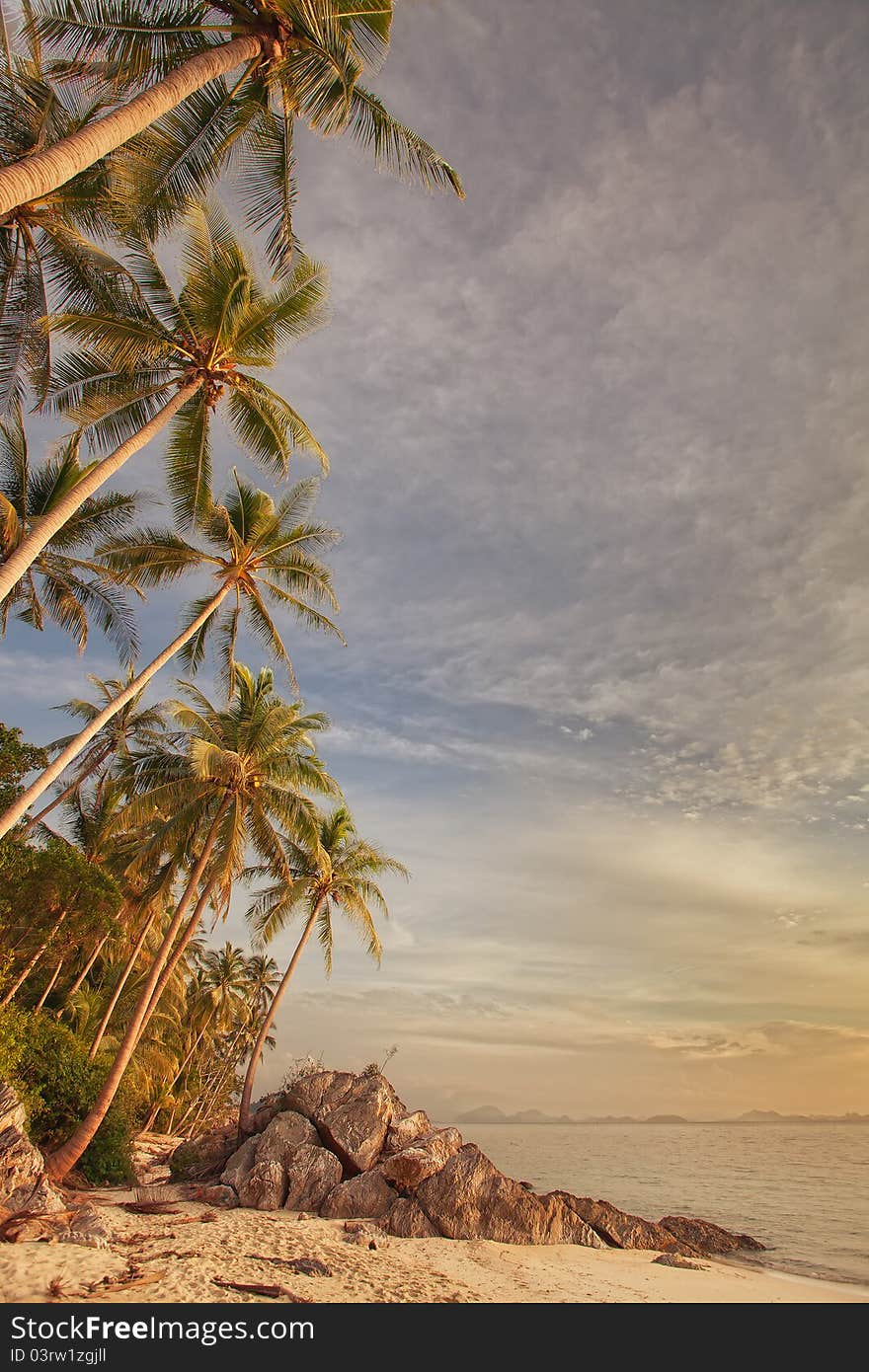 View of nice tropical beach during colorful sunsetl