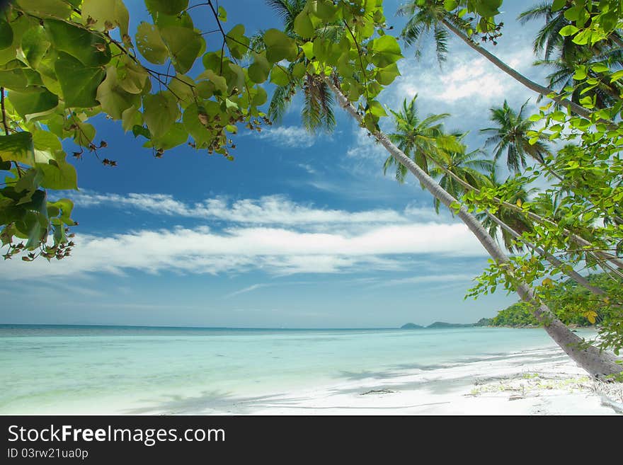 Fragment like View of nice tropical coast with some palm