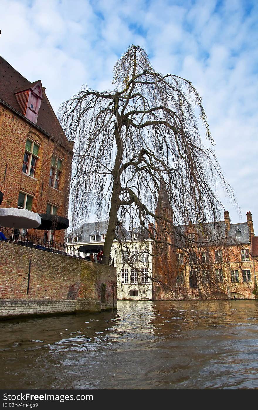 Classic view of channels of Bruges. Belgium. Medieval fairytale city. Summer urban landscape. Tree branches hanging down into the water channel.