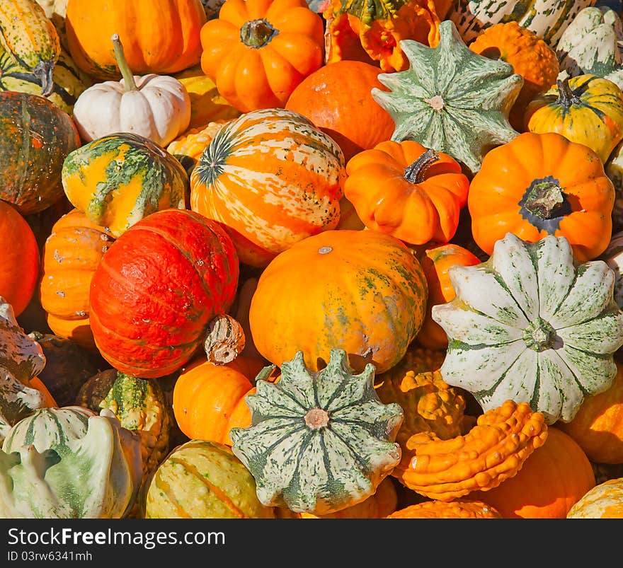 Colorful pumpkins