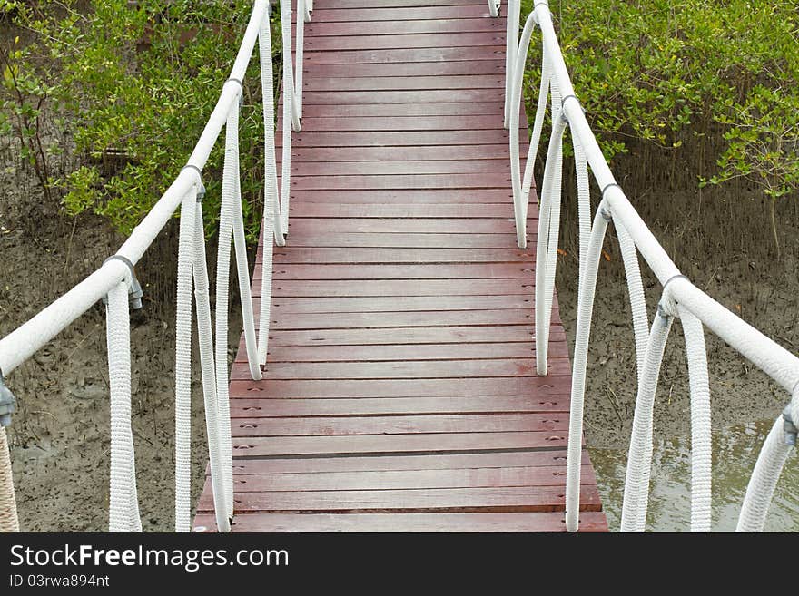 Suspension bridge in the mangroves. Suspension bridge in the mangroves.