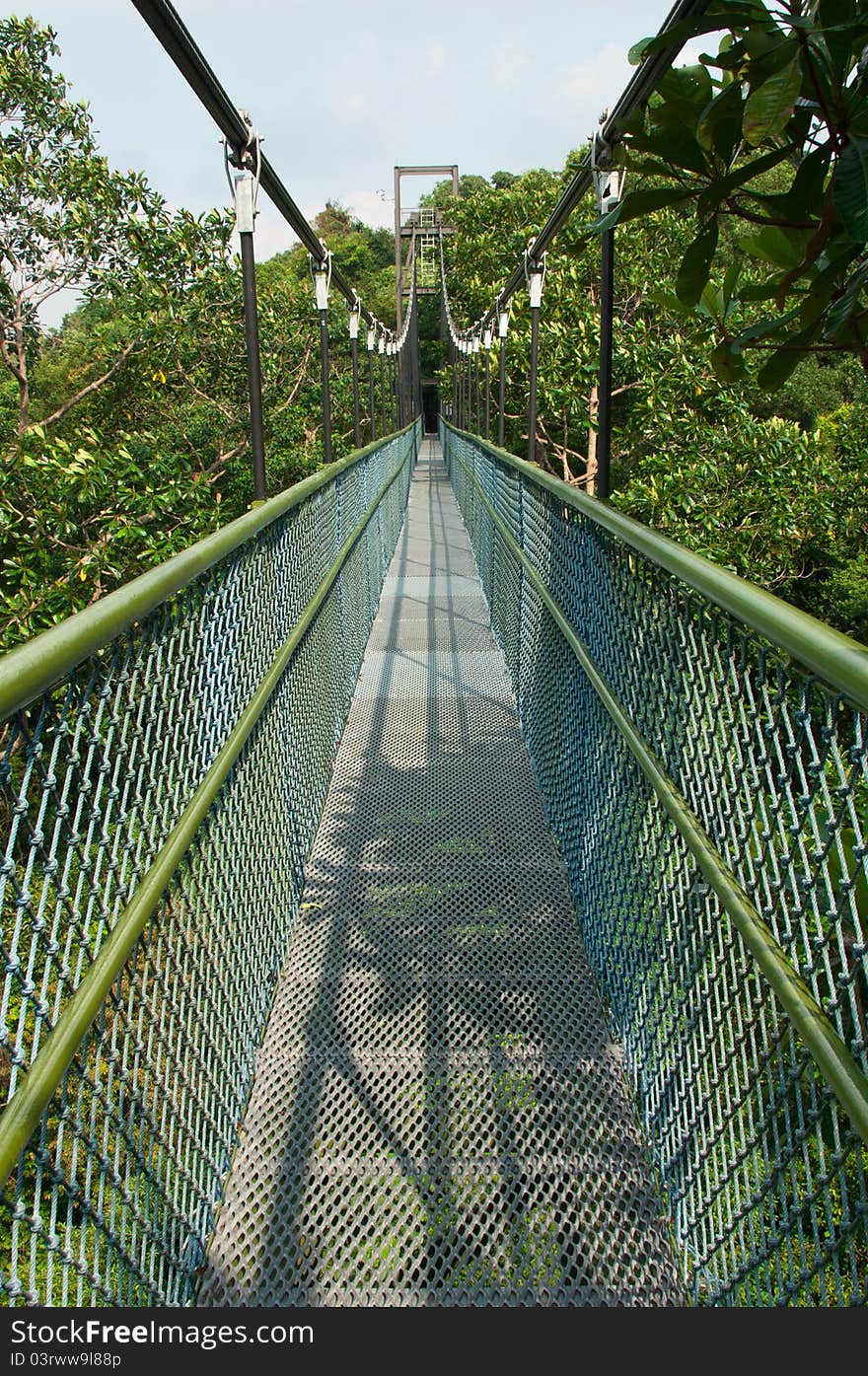 A suspension bridge at the tropical forest canopy. A suspension bridge at the tropical forest canopy