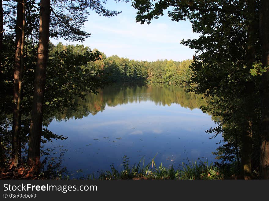 A little lake near to the Klausensee in Bavaria