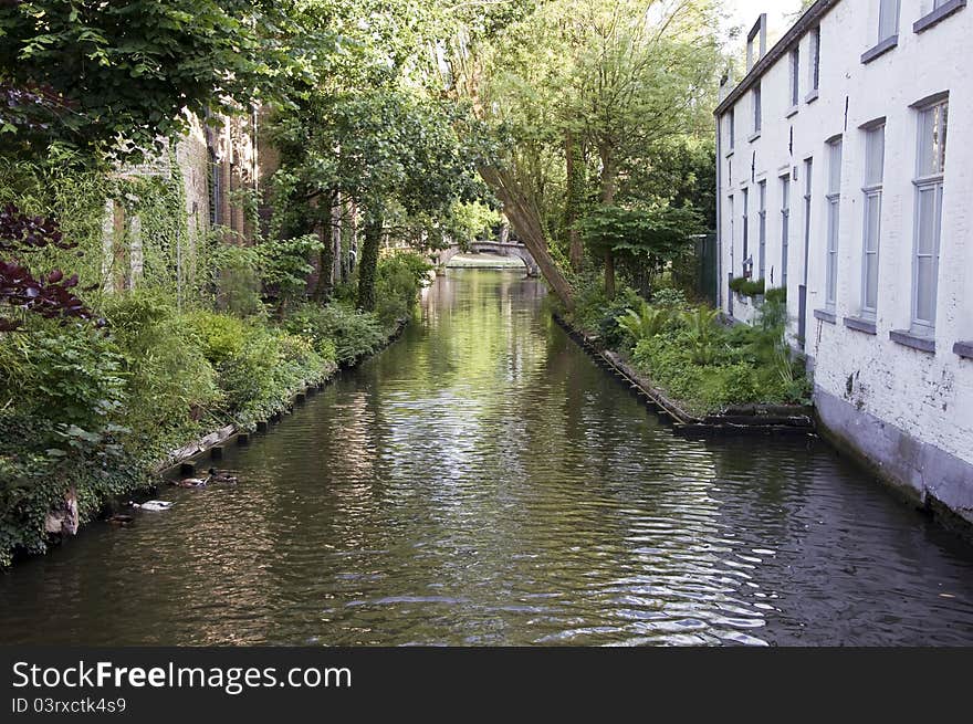 Canal In Bruges, Belgium