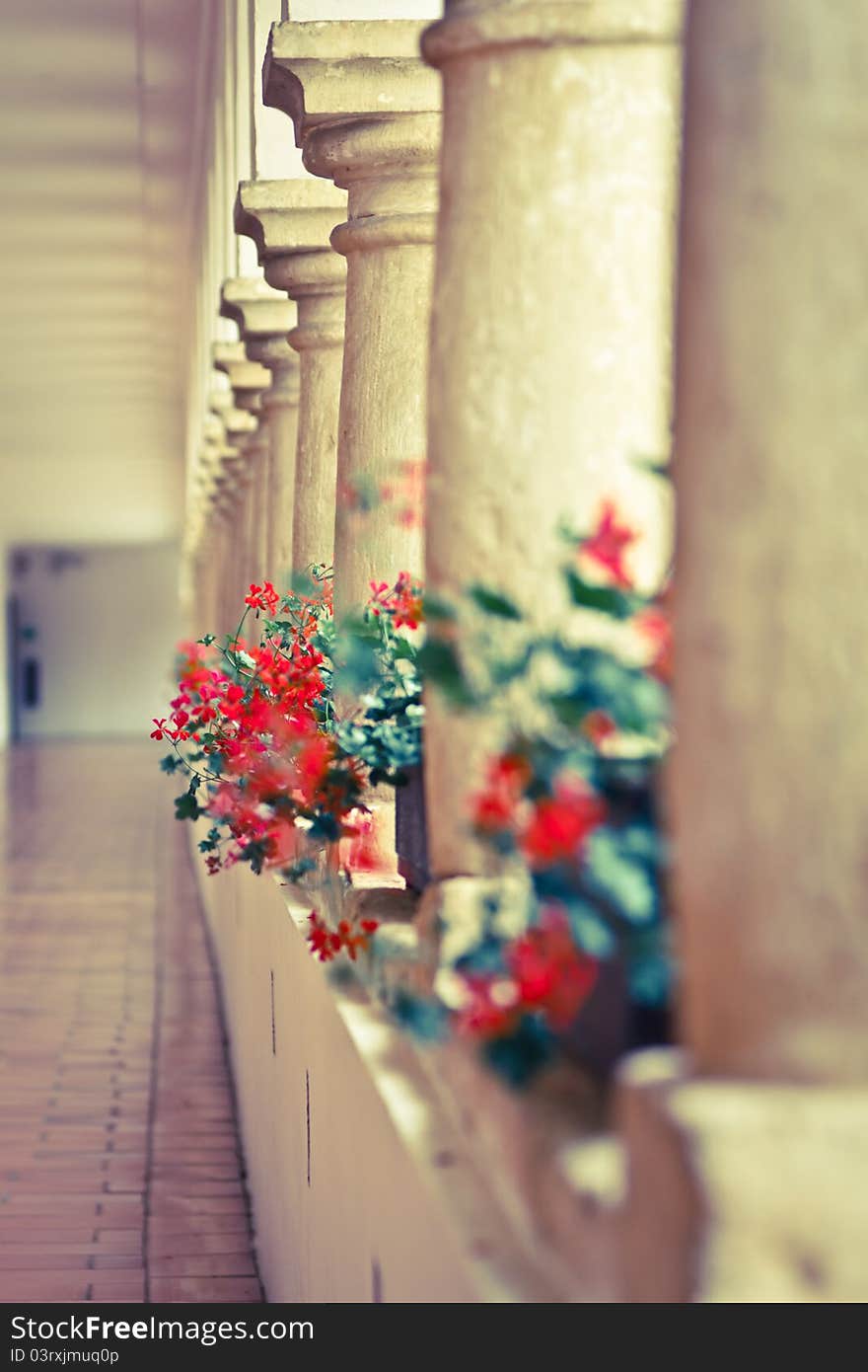 Castle Hallway With Columns