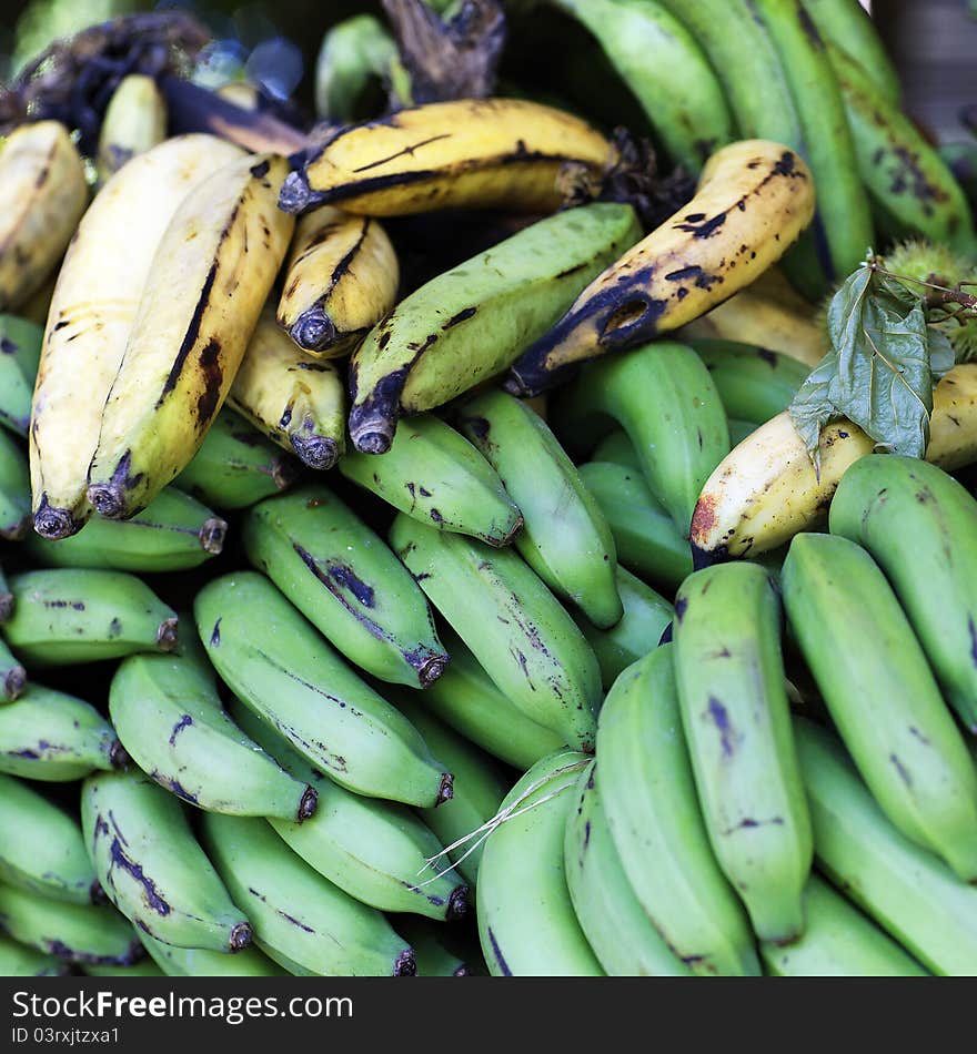 Green and yellow bananas in dominican republic