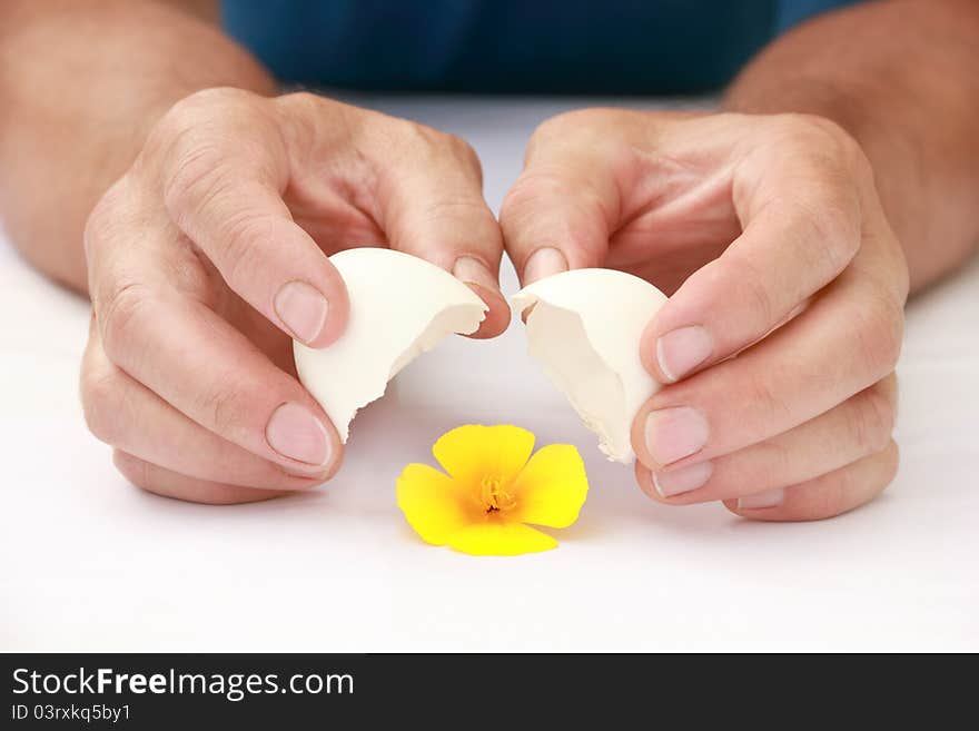 Yellow Flower In An Eggshell