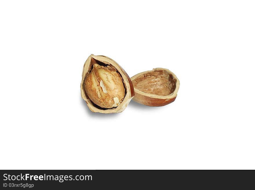 Hazel nut