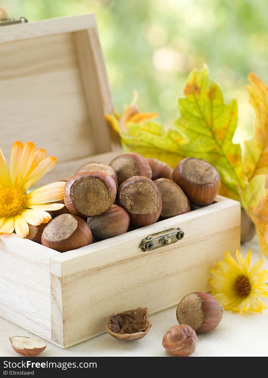 Natural hazelnuts ready to eat in box. Selective focus