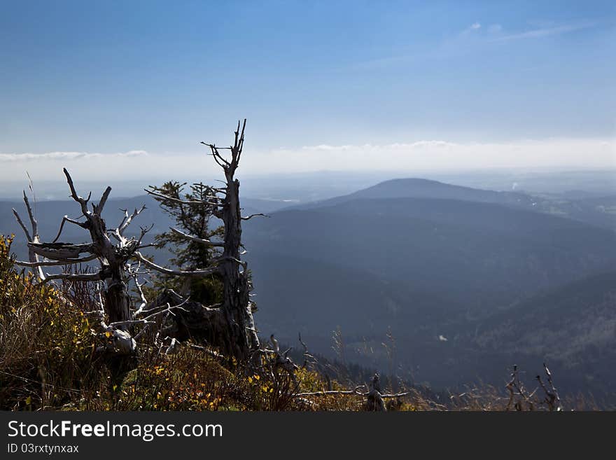 Beautiful summer landscape in the czech mountain krkonose