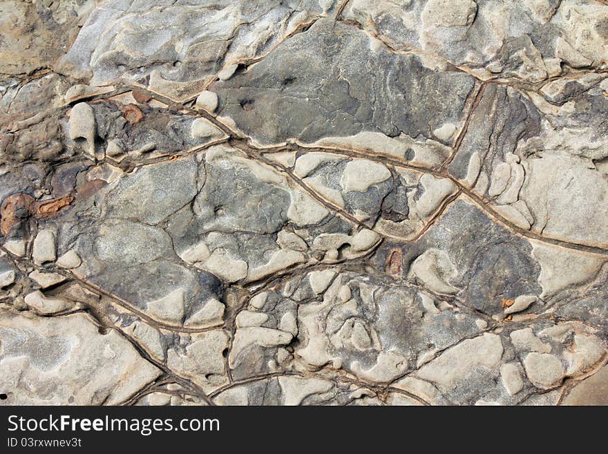 A detail of tide pool seabed exposed along the California coast on the Point Loma Peninsula. A detail of tide pool seabed exposed along the California coast on the Point Loma Peninsula.