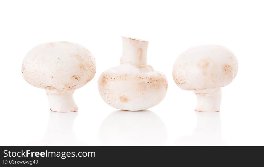 Fresh mushrooms champignons isolated on white background