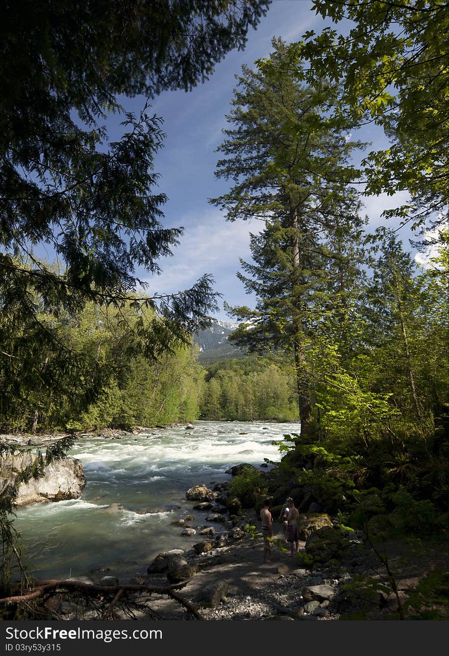 Beach and river with trees. Beach and river with trees