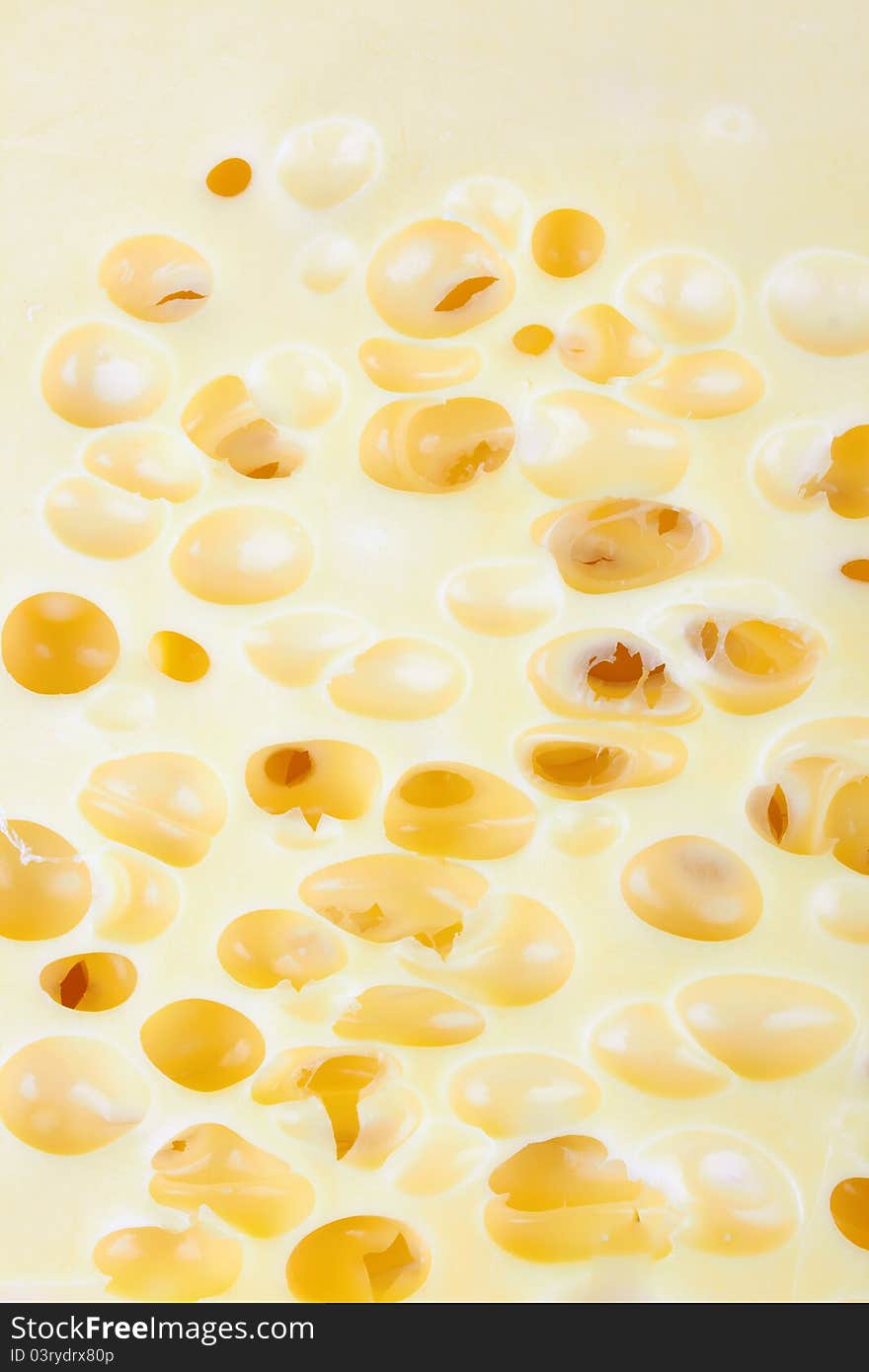 Background of fresh Swiss cheese