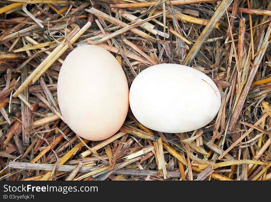 Two eggs