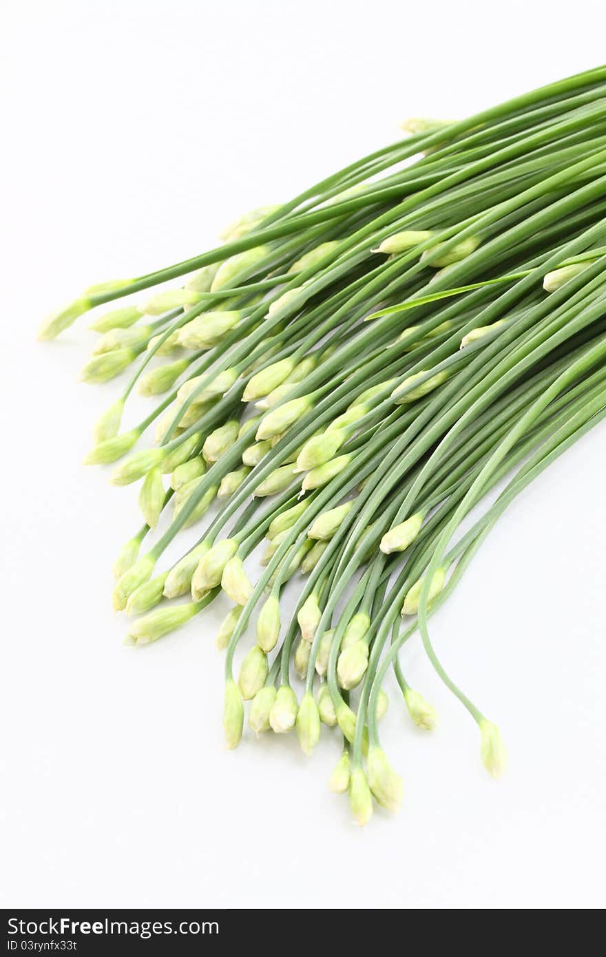 Chinese Garlic on white background