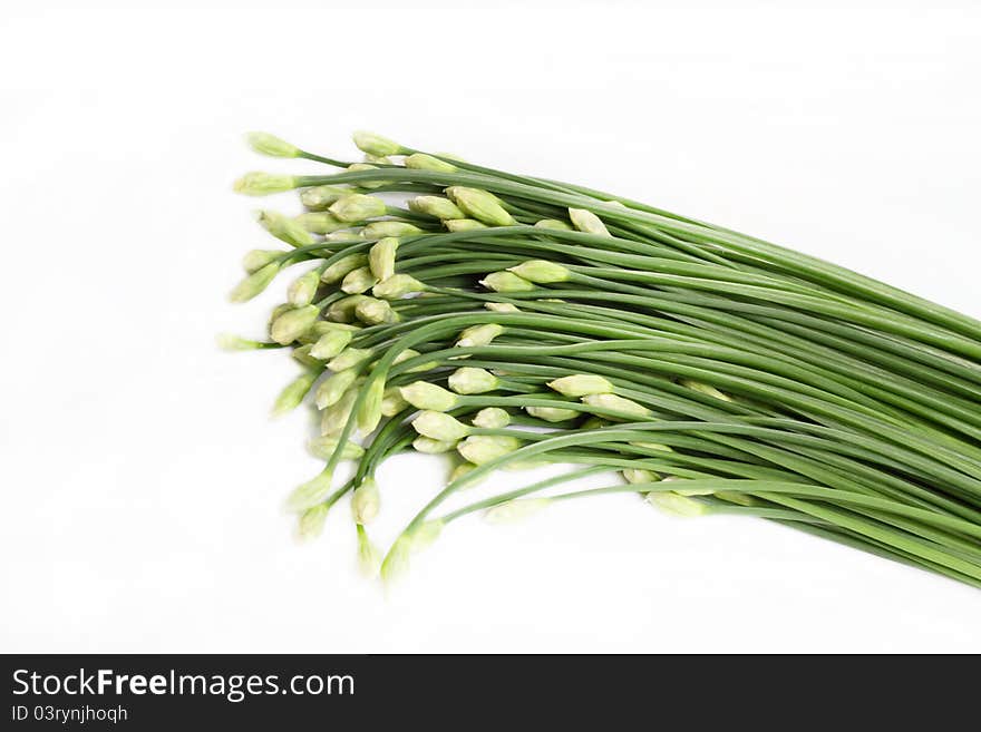 Chinese Garlic on white background