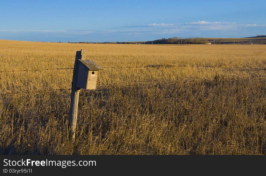 Bird House on the Prairie