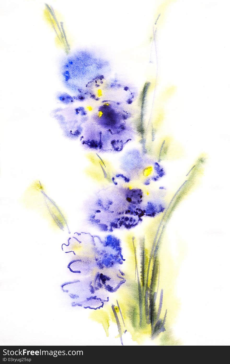 Floral watercolor illustration