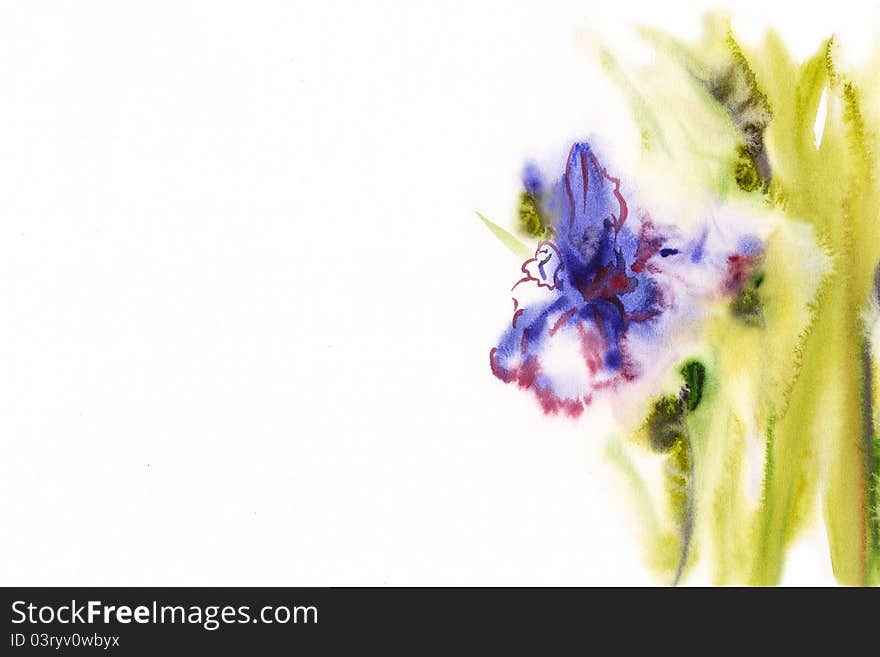 Floral watercolor illustration(3)