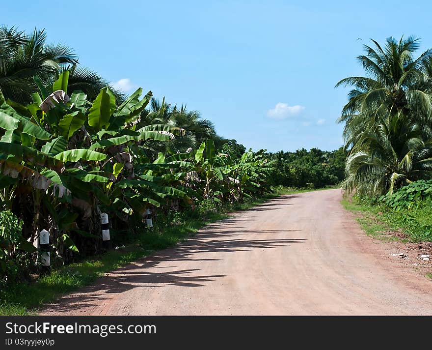 Pathway Road In The Rural