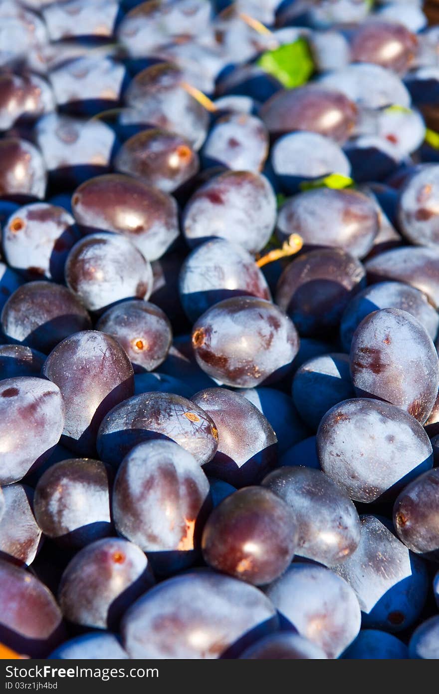 Plum fruit in the basket. Plum fruit in the basket