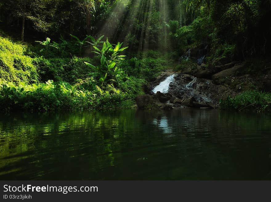 Panoramic view of nice tropic jungle and huge boulders. Panoramic view of nice tropic jungle and huge boulders