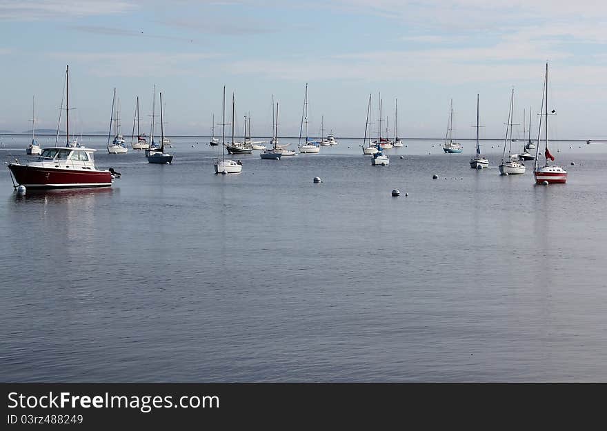 Harbor Boats