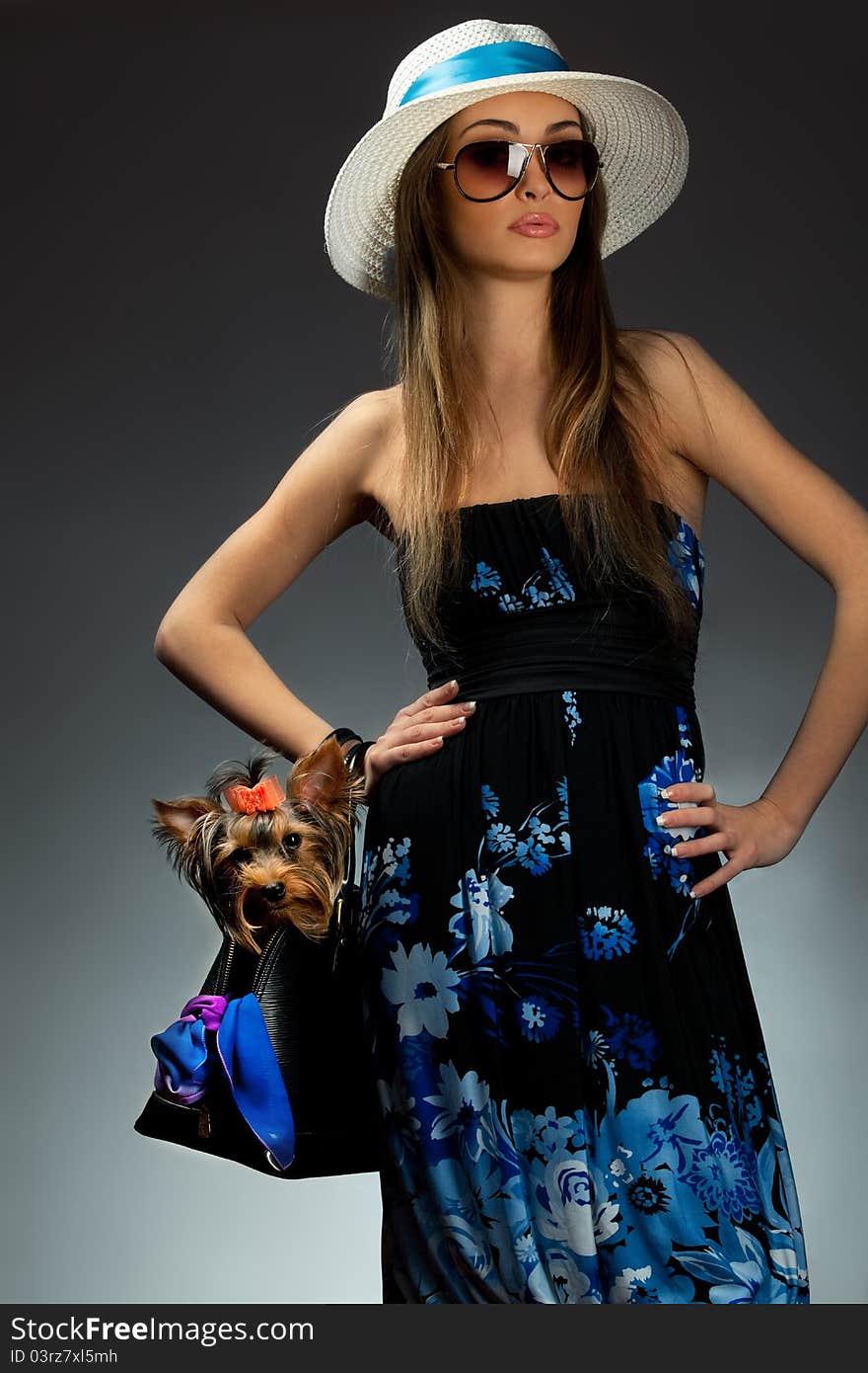 Young glamor woman with Yorkshire Terrier dog in her bag