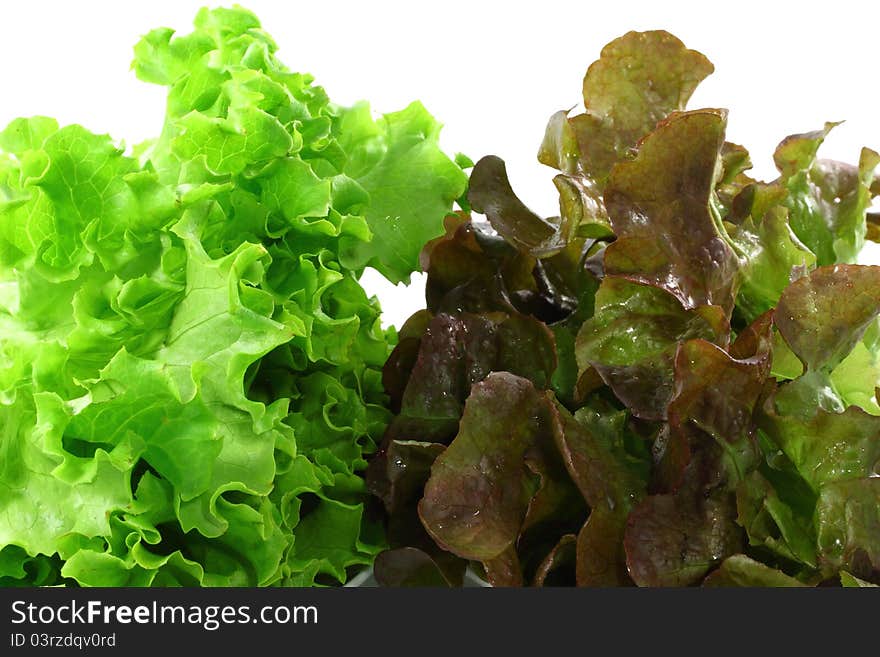 Vegetables salad in background white.