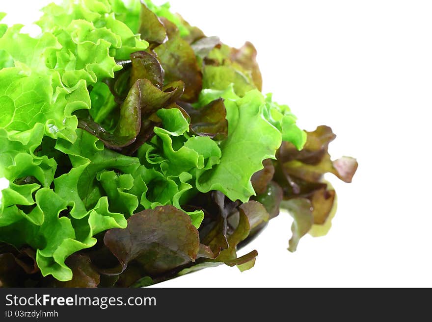 Vegetables salad in background white.