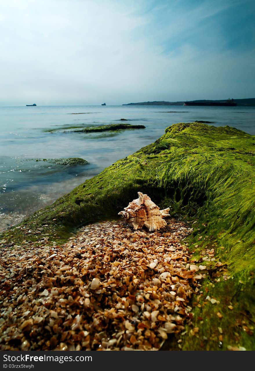 Summer time on the sea. Shell over sand close to rock