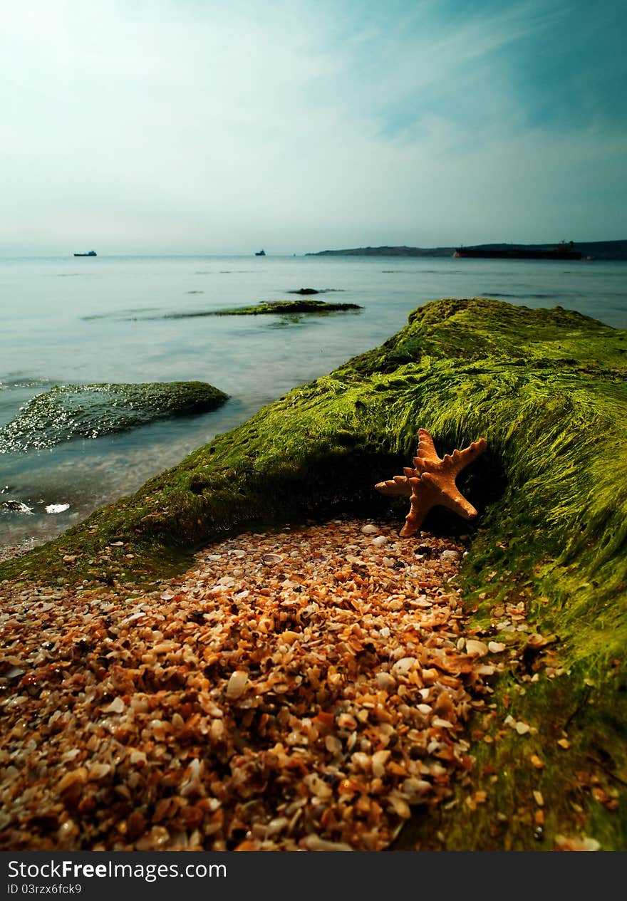 Summer time on the sea. Starfish over sand close to rock