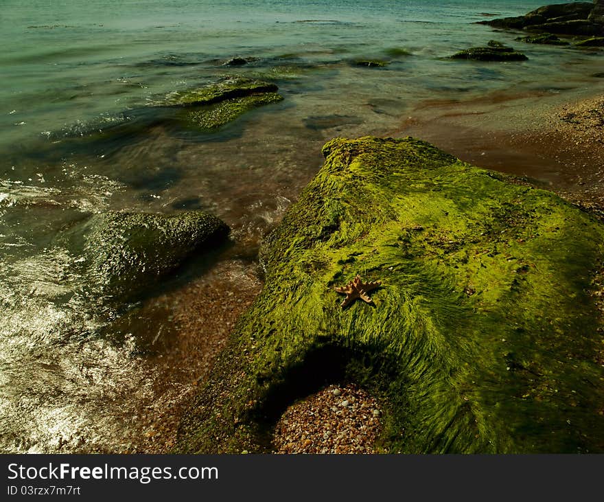 Sea surf. Ukraine, Black Sea coastline