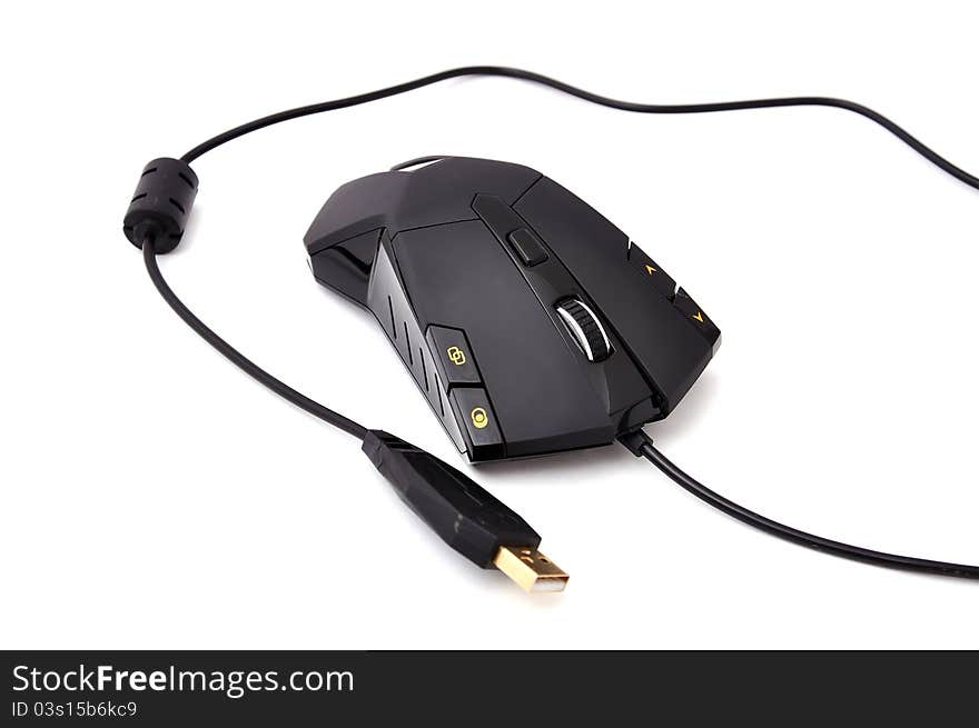 Computer mouse on white background