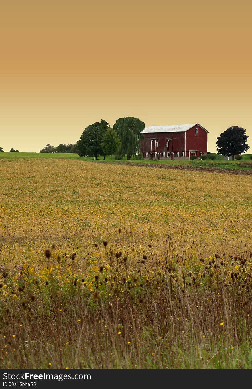 Rural Evening