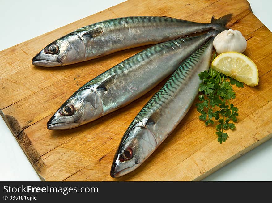 Mackerel