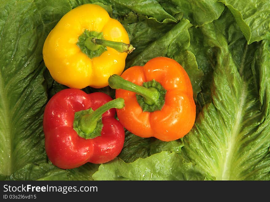 Fresh Bell Peppers