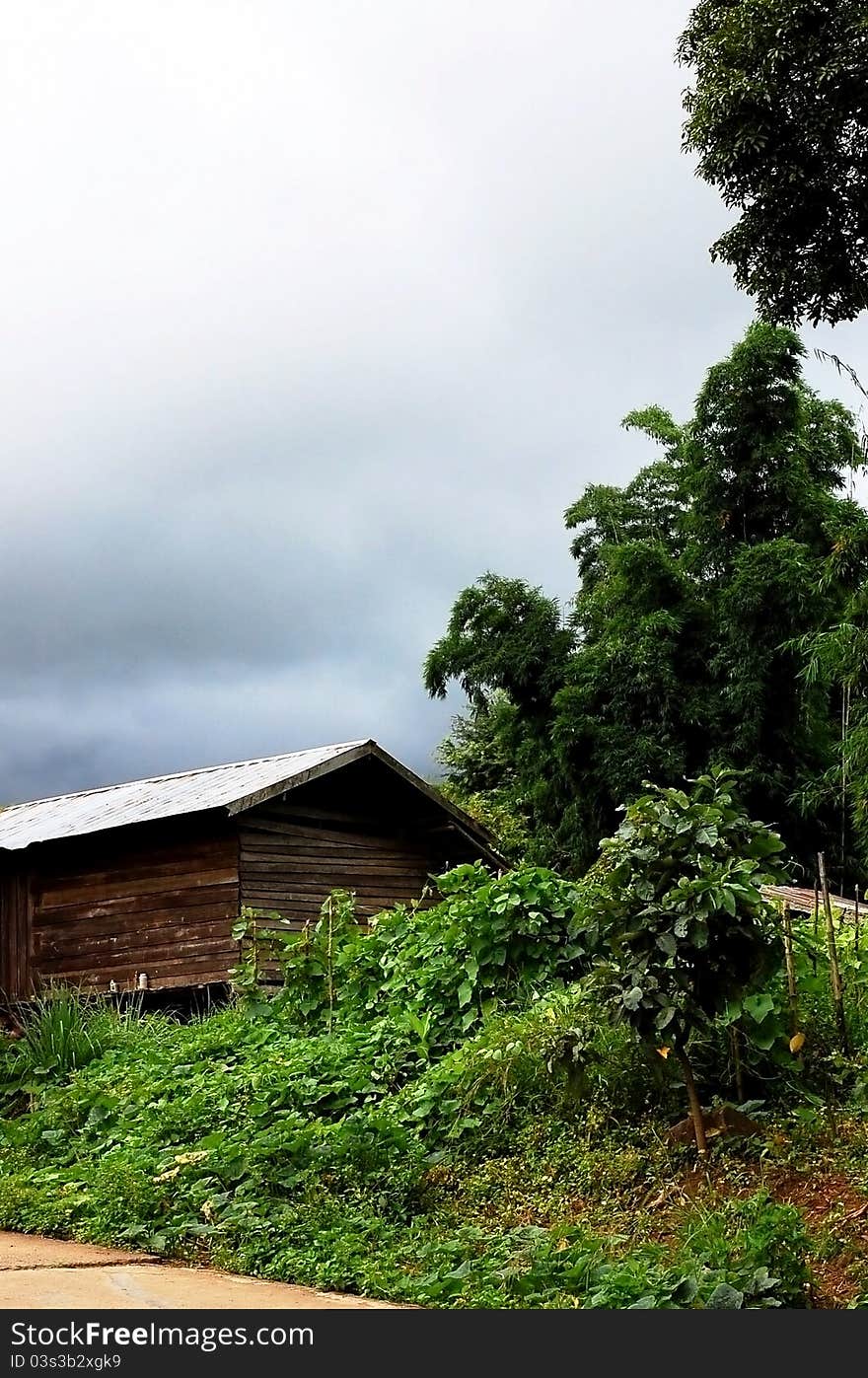 Traditional hut in northern of Thailand