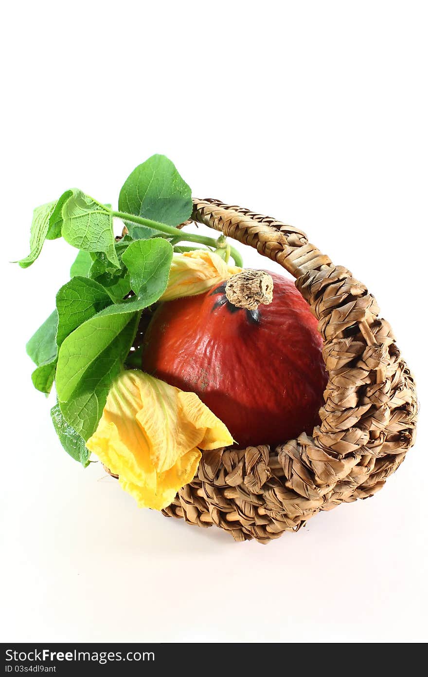 A pumpkin with leaves on a white background