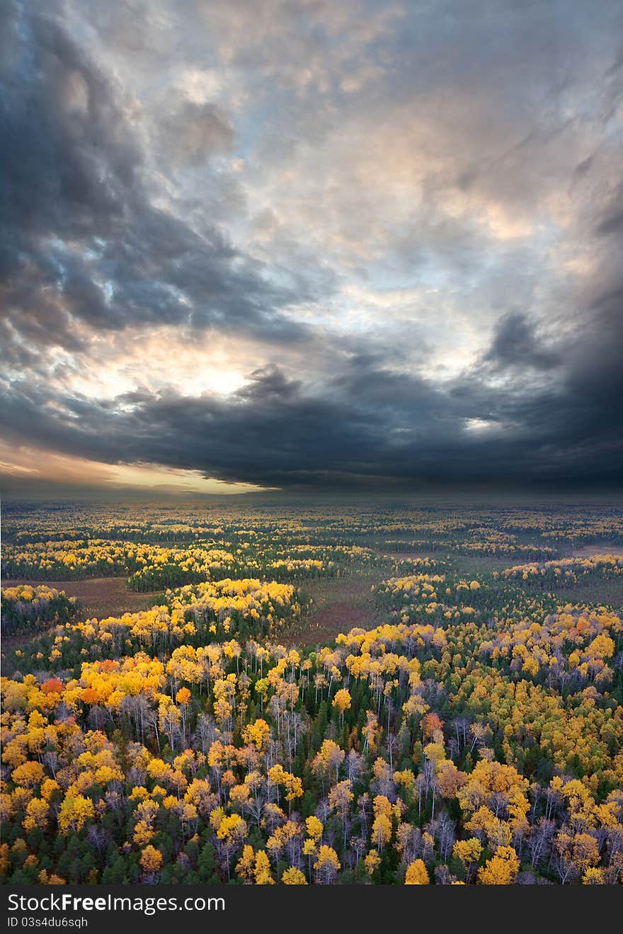 Aerial view overview a autumn forest under clouds in the time of sunset.