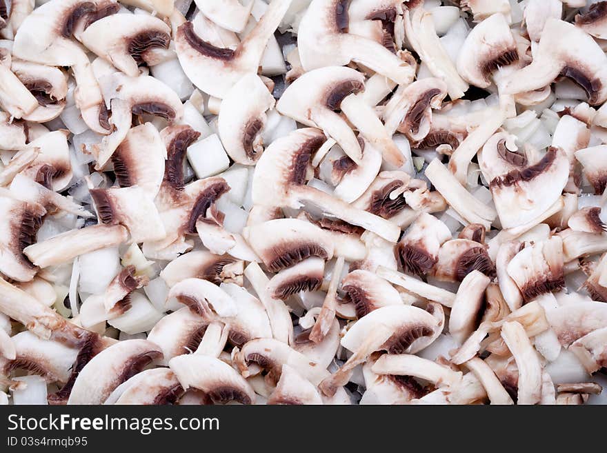 Food. Fresh organic field champignon. Food. Fresh organic field champignon