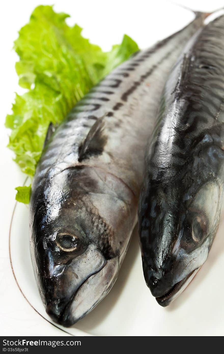 Two mackerels on a plate. Two mackerels on a plate