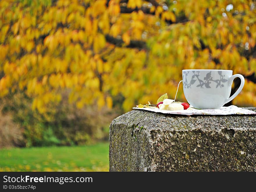 A cup of tea with white chocolate and hips in autumn garden. A cup of tea with white chocolate and hips in autumn garden