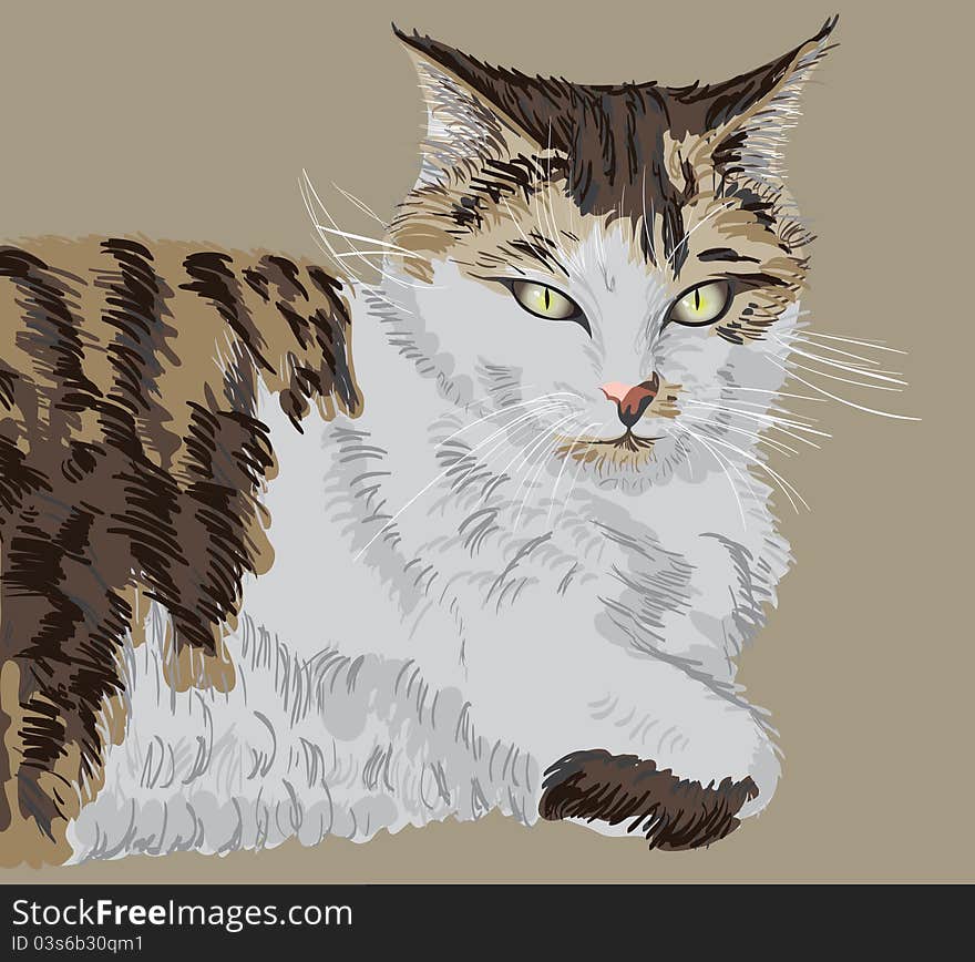 Illustrated portrait of a cat